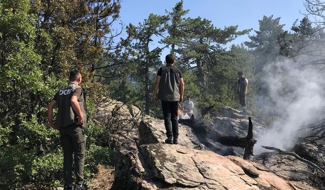 Bolu'da yıldırım düşen ormanda yangın çıktı