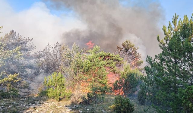 Karabük’te orman yangını