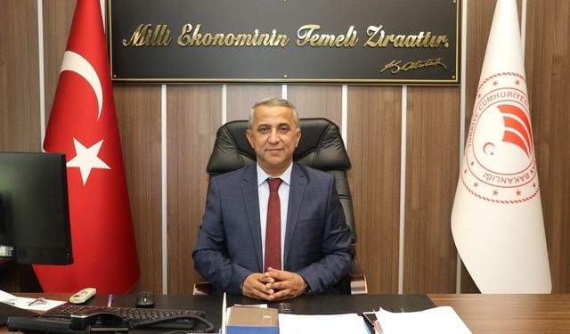 İl Tarım Müdürü Sağlam: Hamsi avı dönemi başladı