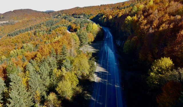 Kastamonu ormanlarında sonbahar renkleri