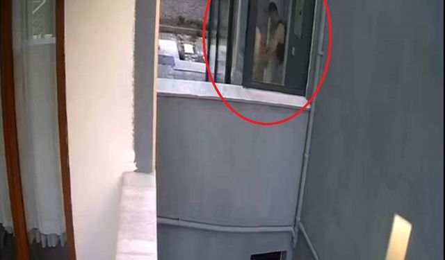Doktorun sahiplenip öldürdüğü iddia edilen köpek sayısı 26'ya ulaştı