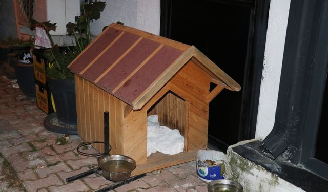 İşletmenin beslediği köpeğe 3 el ateş edip, öldürdü