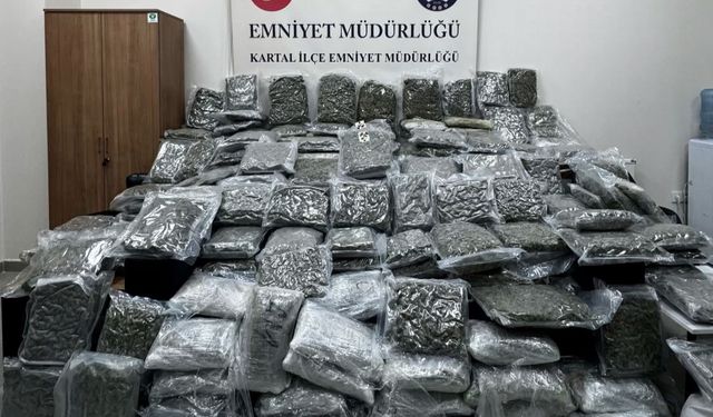 İstanbul- Petshopa uyuşturucu operasyonu: 4 gözaltı