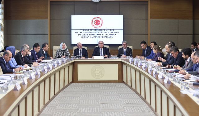 Kamu Başdenetçisi Akarca: Tavsiye kararlarımızın yerine getirilmesi hukuk devletinin ilkesinin gereğidir