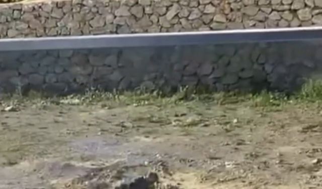 Koyuna kalın iple vurup, defalarca tekmeledi