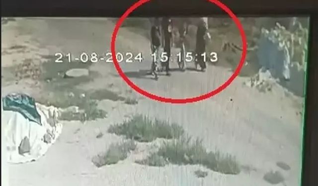 Narin cinayetinde 15 sanığın, 'Suçluyu kayırma'dan yargılandığı davada savcı mütalaasını açıkladı