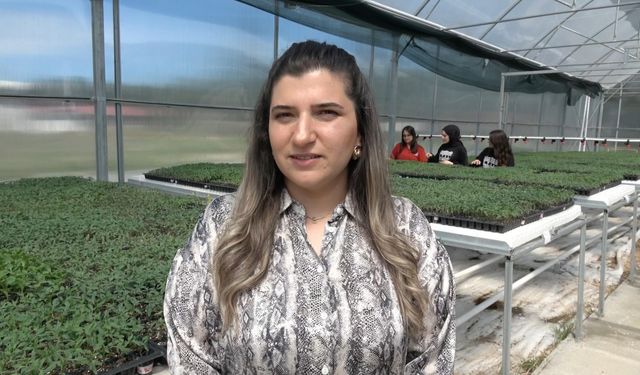 Öğrencilerin tohumdan ürettikleri fideler üreticiye satılacak