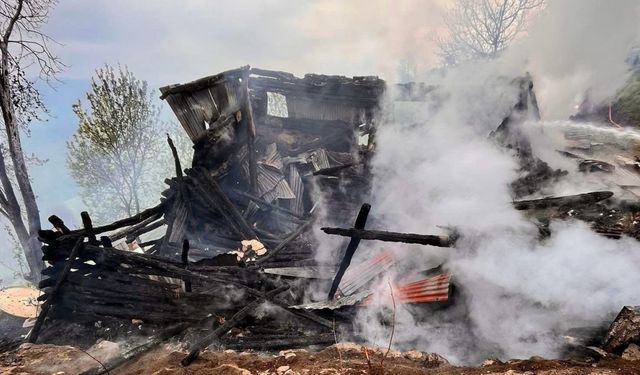Ordu'da, yangında tek katlı ev kullanılmaz hale geldi