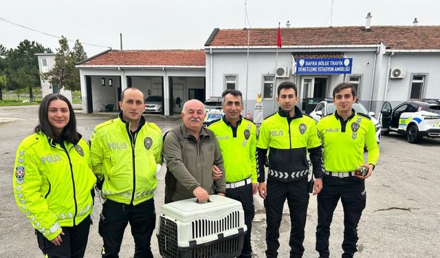 Polisin yaralı bulduğu doğan tedaviye alındı