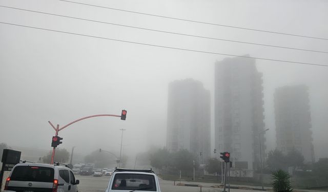 Adana'da sis etkili oldu