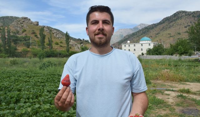 Batman'da Sason çileği ile tersine göç