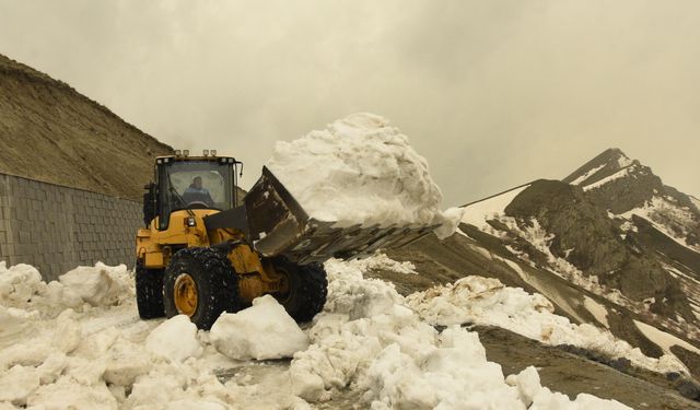 Bitlis'te karla mücadele bitti; 25 milyon TL harcandı