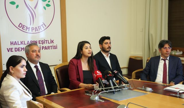 DEM Parti'den 'İnfaz düzenlemesi' açıklaması
