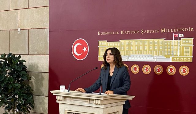 DEM Parti'li Koçyiğit: 10'uncu Yargı Paketi mutlaka bayramdan önce Meclis'ten geçmeli