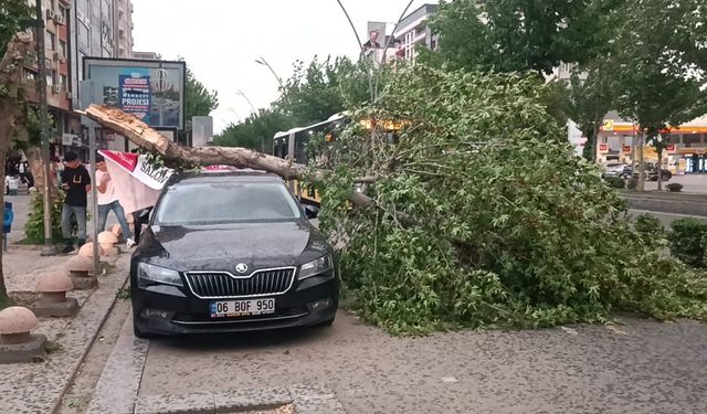 Diyarbakır ve Batman’da fırtına; çatı ve ağaçlar, araçların üzerine devrildi