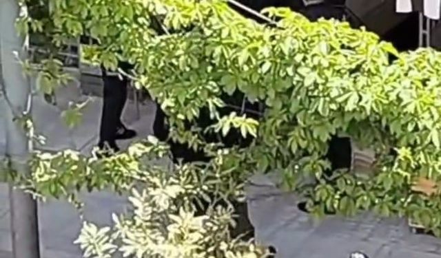 Engelli esnaf ile zabıta arasında arbede