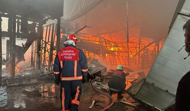 Fındık fabrikasındaki yangın, 2,5 saatte kontrol altına alındı