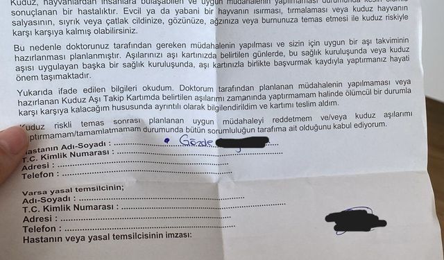 İstanbul - Üniversite kampüsünde köpeklerin saldırına uğradı: O anlar kamerada
