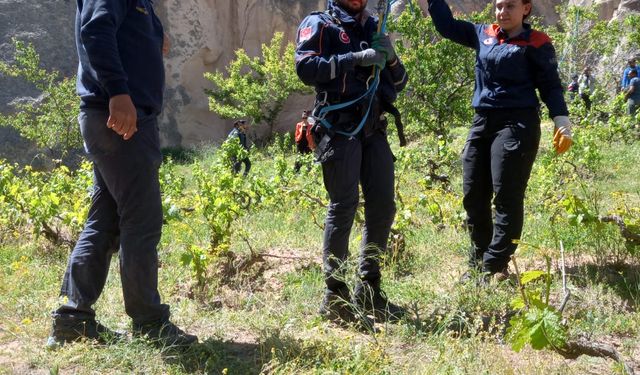 Kapadokya'da sıcak hava balonu, kayalıklara zorunlu iniş yaptı / Ek fotoğraflar