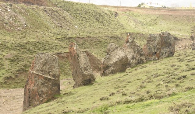 'Nemrut'un develeri' koruma altına alınıyor