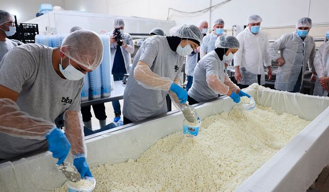 Rusya'nın önde gelen içerik üreticileri Akkuyu NGS, sahasını ziyaret etti