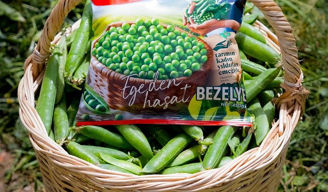 ‘Tarımın Kadın Yıldızları’nın emeğiyle SuperFresh ‘Ege’den Hasat Bezelye’