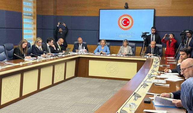 TBMM Yurt Dışı Türkler ve Akraba Toplulukları Alt Komisyonu toplandı