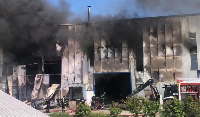 Tekirdağ'da fabrika yangını; alevler parfüm tesisine sıçradı (2)