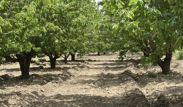 TZOB Başkanı Bayraktar: Kaynağından tarlaya suyun yarısını kaybediyoruz