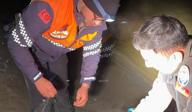 Van'da 3 ton 820 kilo inci kefali ele geçirildi