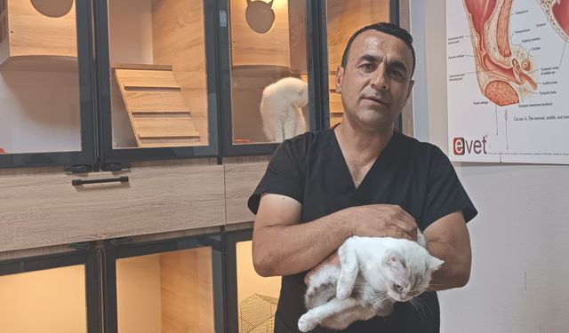 Veteriner hekim sokak hayvanlarını tedavisini yapıp sahiplendiriyor