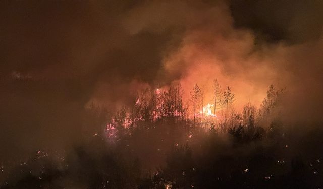 Adana'da orman yangını (4)