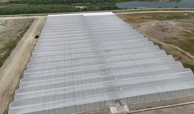 Bakan Yumaklı: Bafra ve Çaycuma'da organize tarım bölgelerinde üretime başlandı