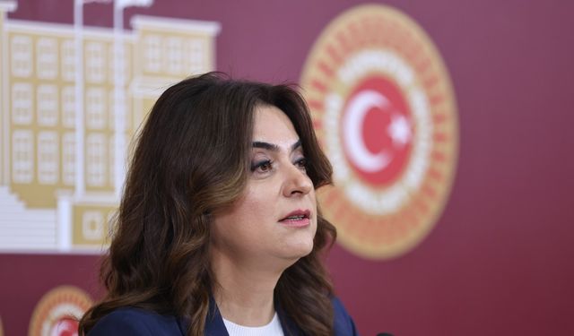 DEM Parti'li Koçyiğit: Bütün partiler İmralı'ya gitmeli