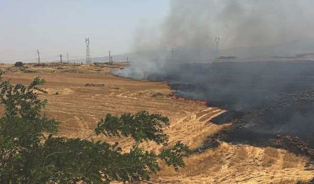 Gaziantep’te anız yangını; 300 dönüm alanda etkili oldu