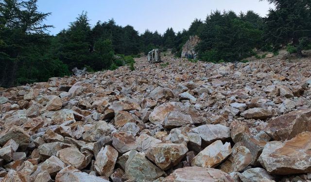 Gaziantep'te kamyonet uçuruma yuvarlandı: Aynı aileden 3 ölü, 1 yaralı