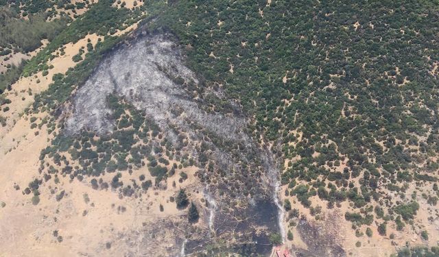 Gaziantep’te orman yangını 2,5 saatte söndürüldü