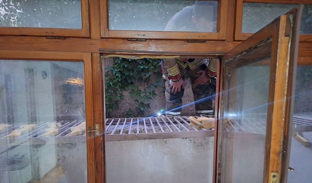 Havalandırma boşluğunda mahsur kalan 2 yavru kediyi itfaiye kurtardı