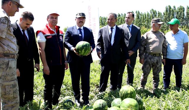 Iğdır'da yetiştirdiği karpuzları erken toplayan üreticinin hedefi 4 hasat