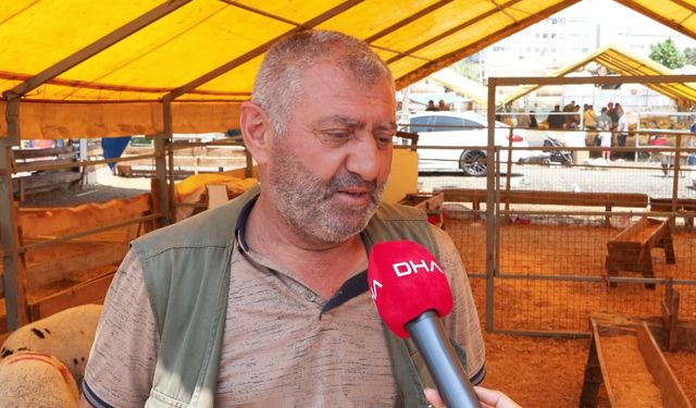 İstanbul- Kurban pazarlarında satıcılar toplanmaya başladı