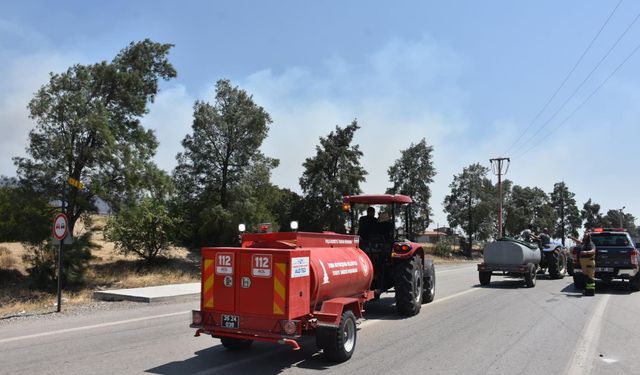 İzmir'de orman yangını (2)