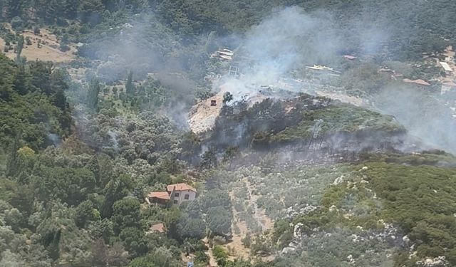 İzmir'de orman yangını