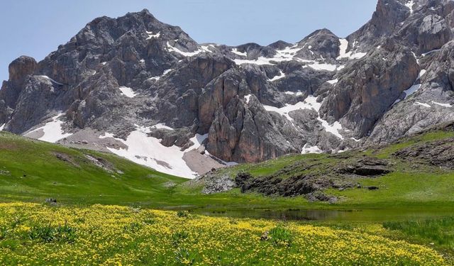 Rengarenk çiçeklerin karla buluştuğu nokta; Sohmarik Yaylası