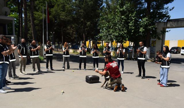 Sağlık sorunları nedeniyle emekli edilen 'Linda' için pasta kesildi