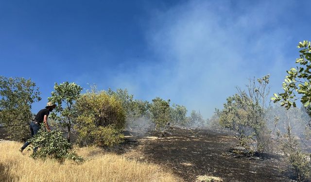 Şırnak'ta örtü yangını (2)