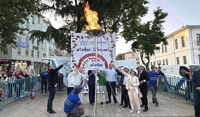 Tekirdağ'da 59'uncu Uluslararası Kiraz Festivali başladı