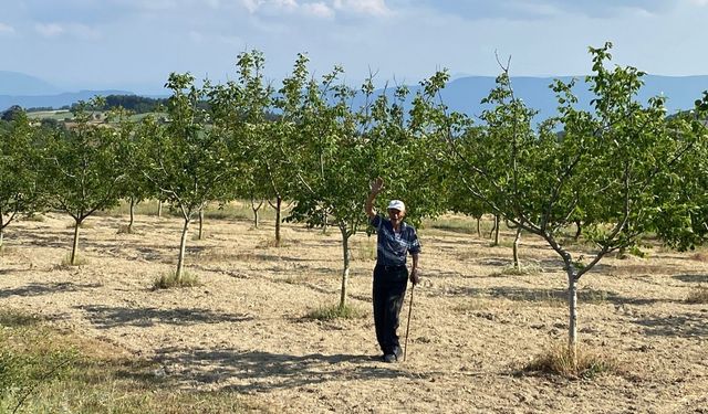 TZOB Genel Başkanı Bayraktar: 2025’e afet açısından çok hızlı başladık