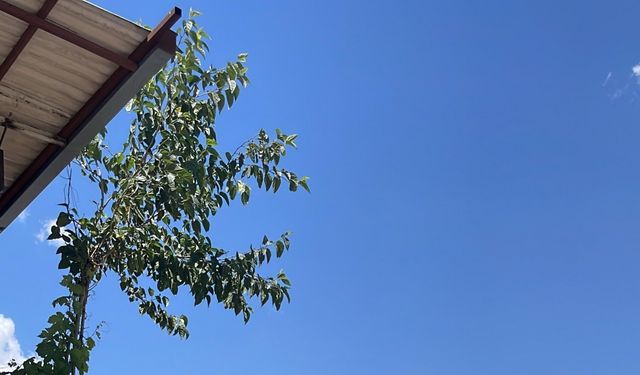 2 kardeşin silahlı çatışmasında dönercide oturan uzman çavuş ile iş yeri çalışanı yaralandı