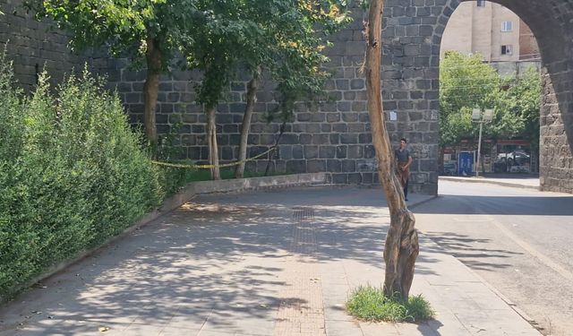 9 gün arayla öldürülen İlayda ve Helin’in katilleri yakın arkadaşmış / Ek fotoğraflar