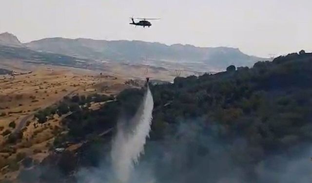 Adıyaman'da orman yangını 3 saatte kontrol altına alındı
